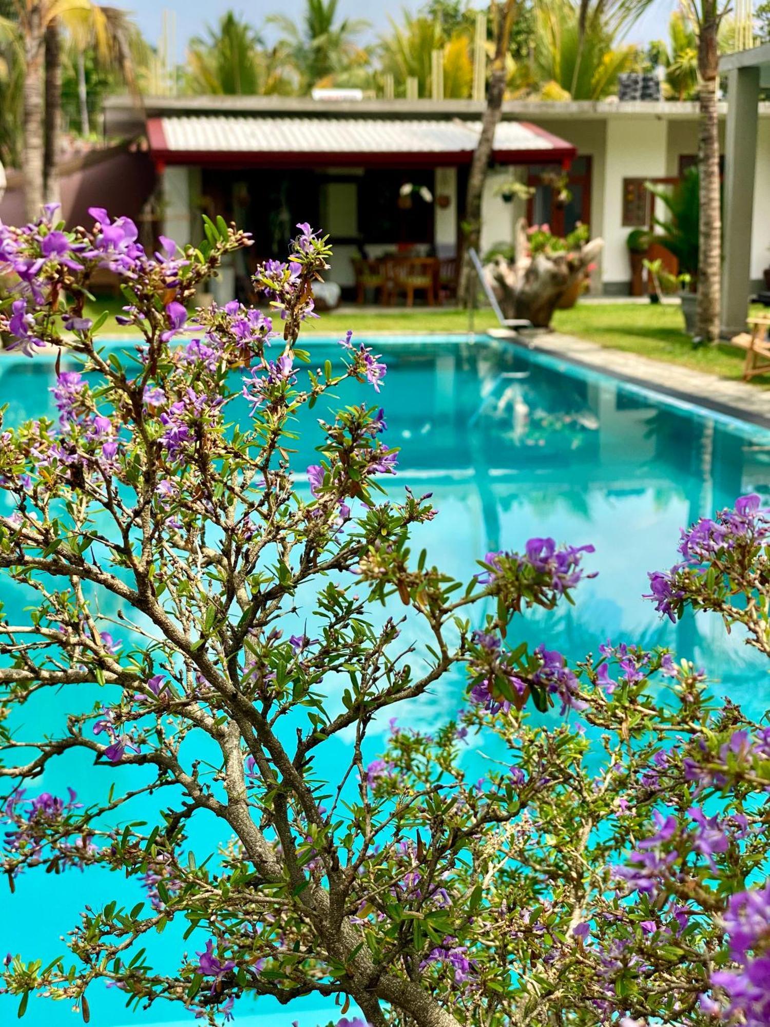 Sri Palms Bed & Breakfast Kosgoda Ngoại thất bức ảnh